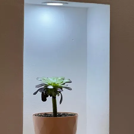 Apartment Arteg